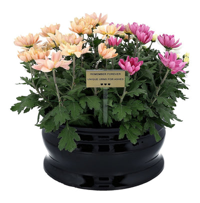 95459cd084bf7d7c21a8278bc5850813