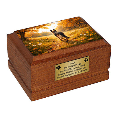 73b4f20070b18726e4bc2f163bd6f116