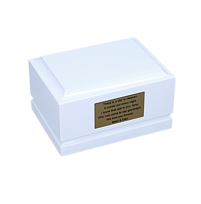 Sleeping Dinosaur Baby Cremation Urn – White Wooden Child Memorial Urn for Ashes