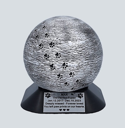 Paw prints urn for dog "Grade B" (Paw Prints D-01)